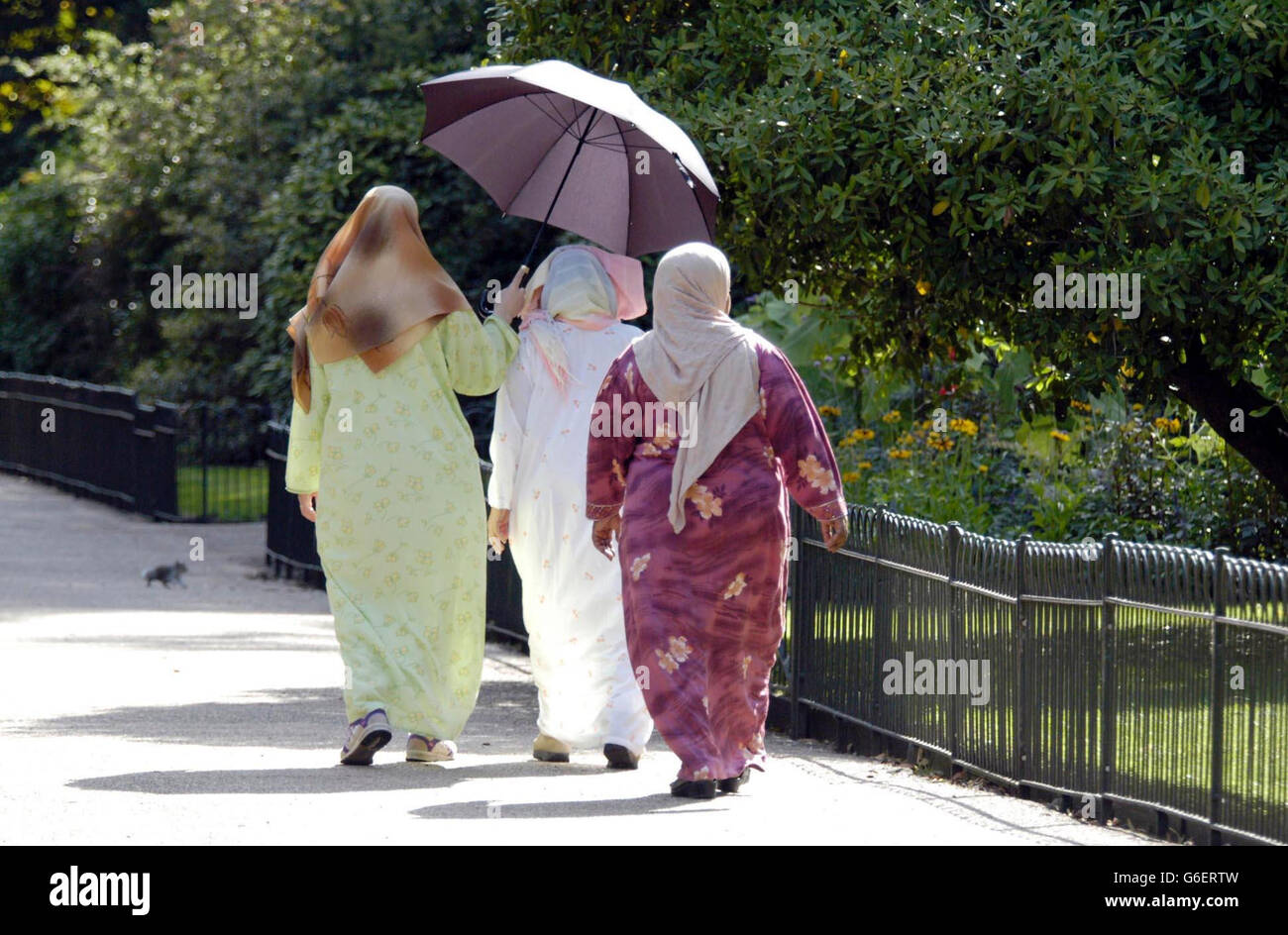 Canicola estiva parasol Foto Stock