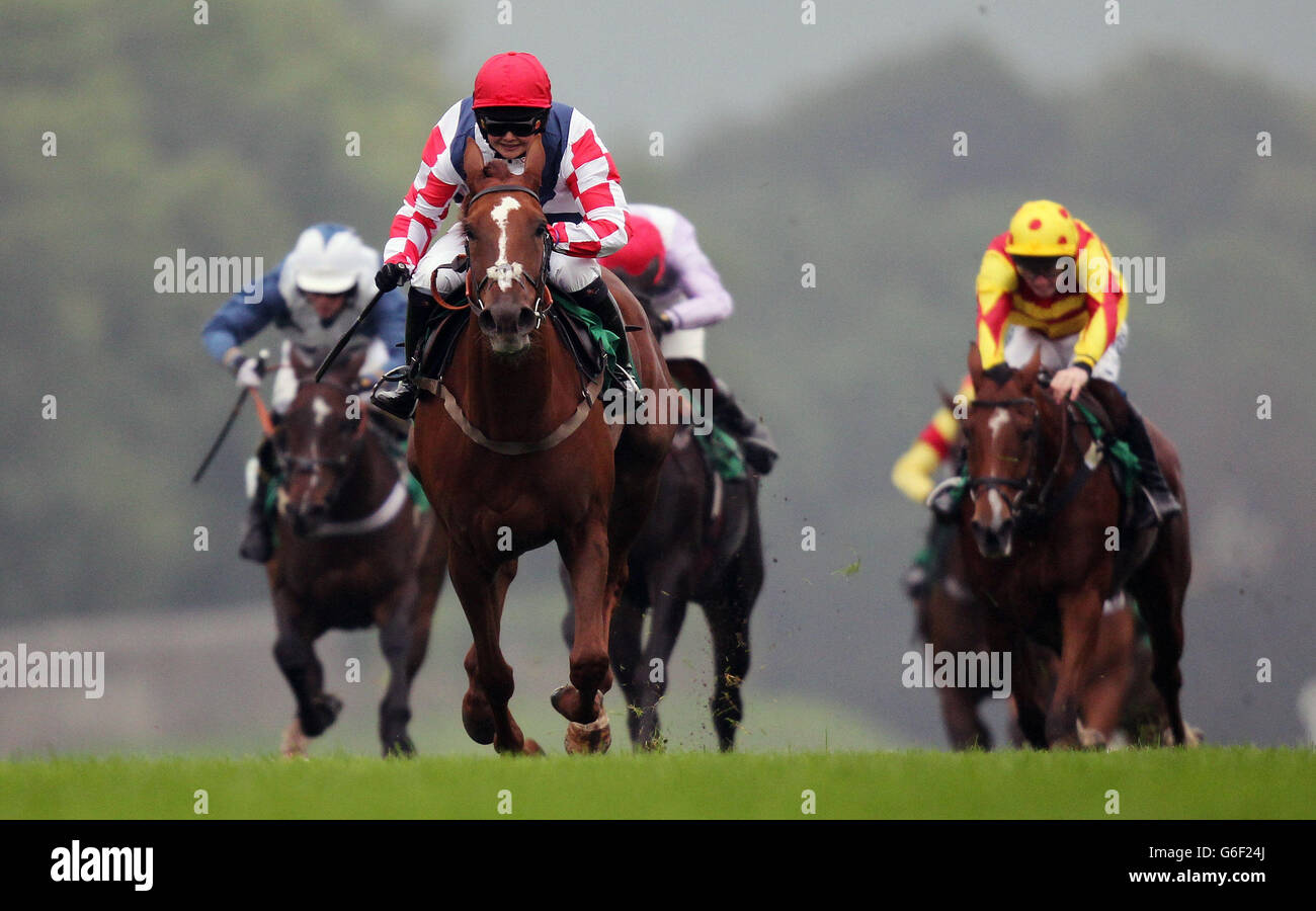 Southfield Vic guidato da Megan Nicholls nel 32Red.com Standard National Hunt Flat Race presso l'ippodromo di Chepstow, Chepstow. Foto Stock