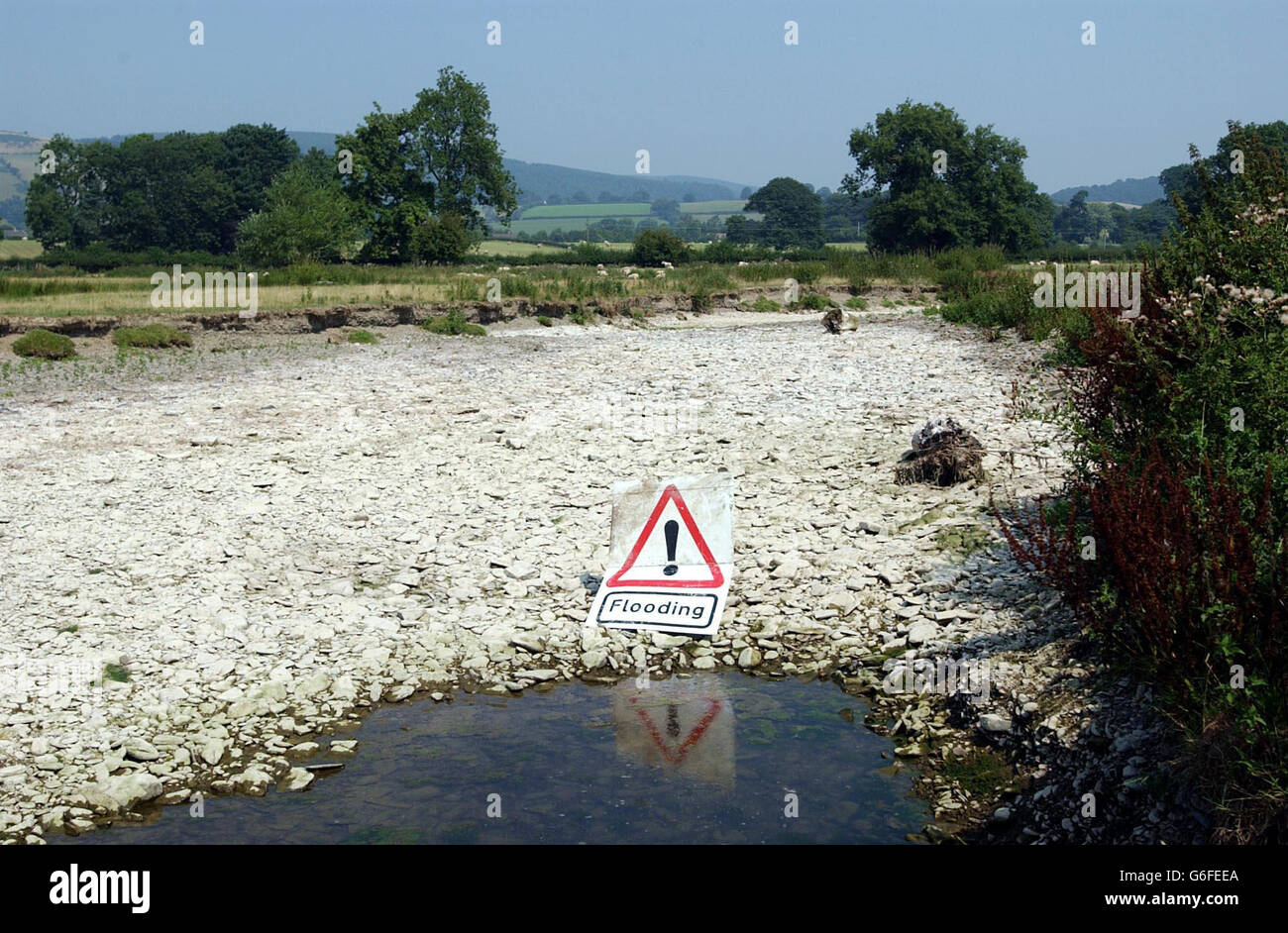 Fiume Teme inaridisce - salvataggio di pesce Foto Stock