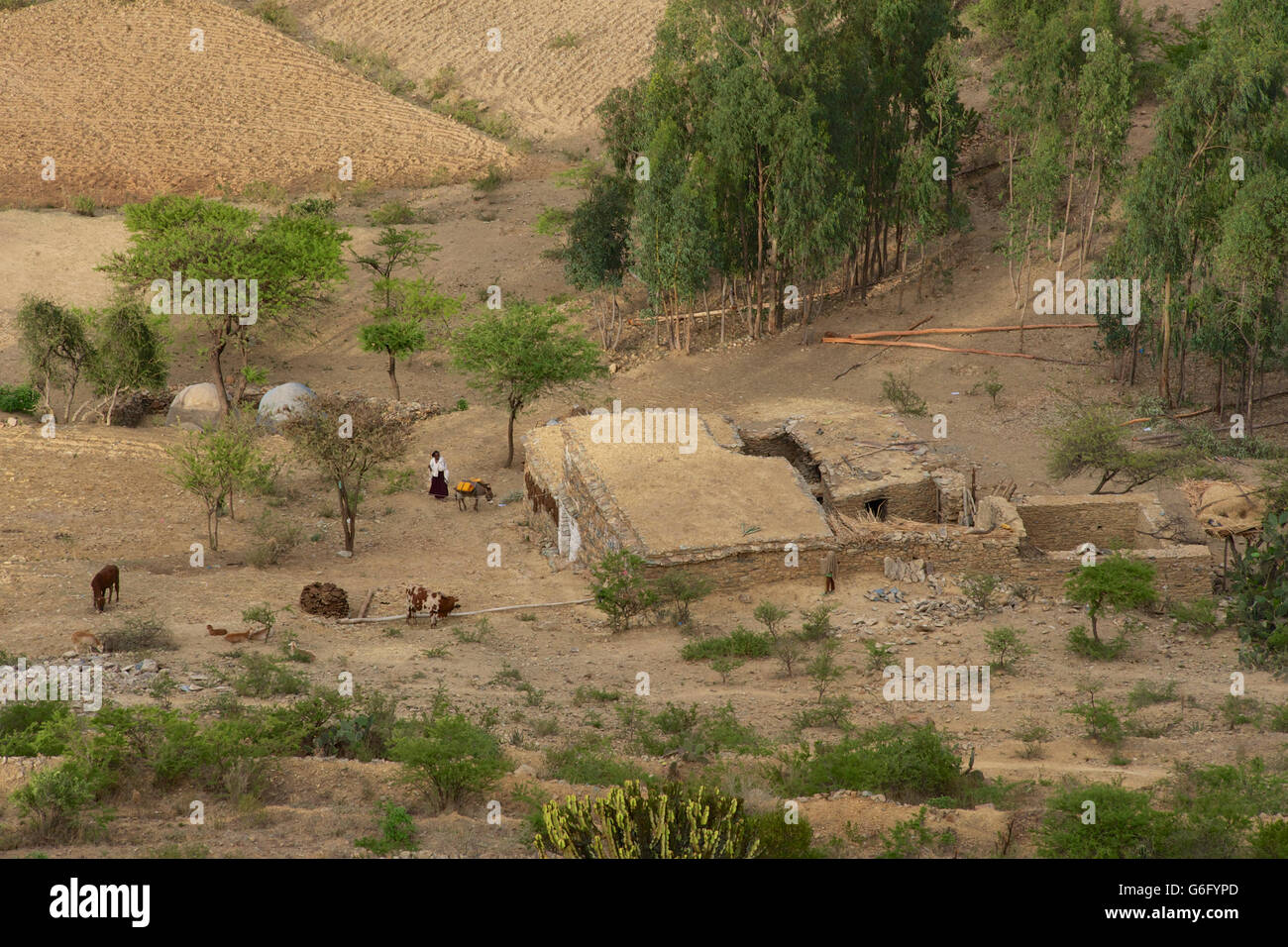 Villaggio homestead, Eastern Tigray, nr Gheralta, Etiopia Foto Stock
