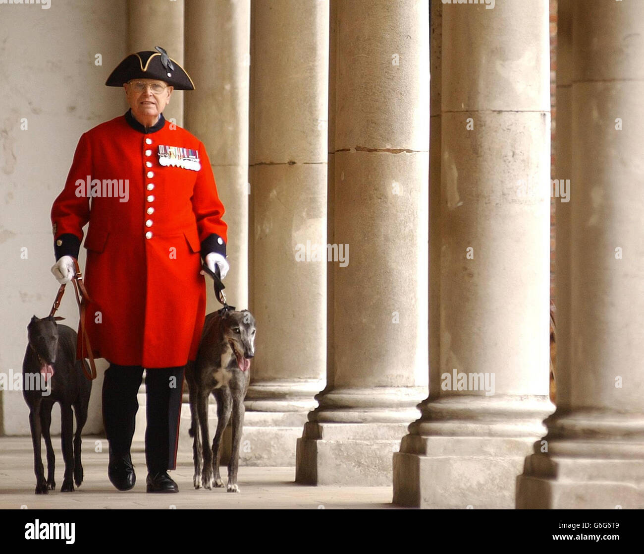 Il pensionato e amante dei cani di Chelsea Alan Gale, 84 anni, fa una passeggiata con due levrieri in pensione e riospitati, Becca (a sinistra) di cinque anni e Liam, 11 anni, per celebrare il ritorno del 25.000esimo levriero (Becca) da parte del pensionato Greyhound Trust, al Royal Hospital Chelsea, Londra. Foto Stock