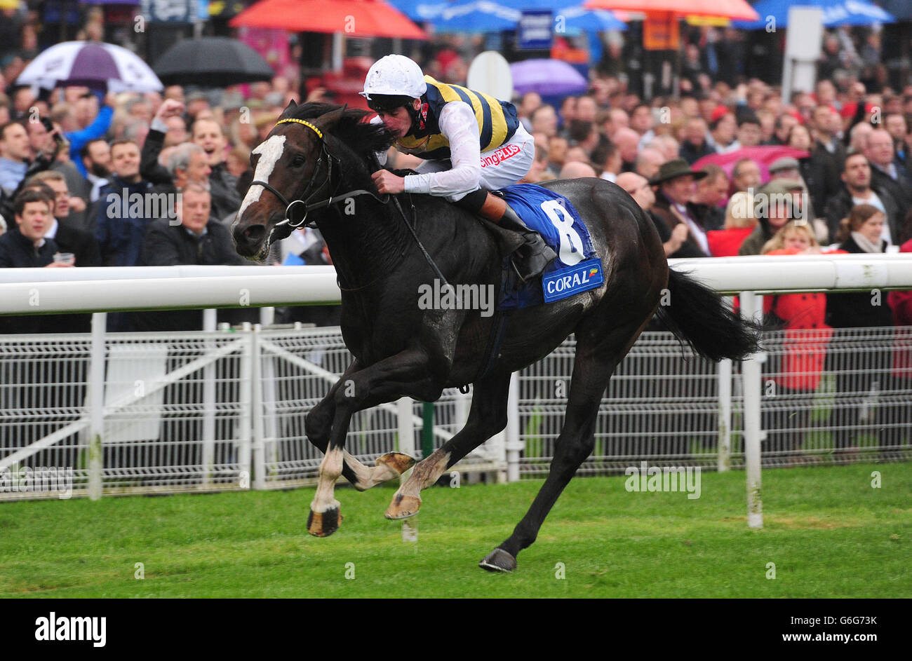 Seussical guidato da Adam Kirby vince il Coral App Download dall'App Store Stakes durante il secondo giorno della riunione finale di ottobre 2013 all'Ippodromo di York. Foto Stock