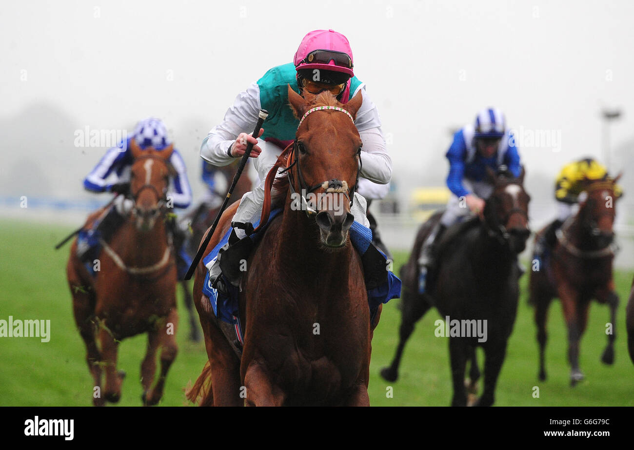 Seek di nuovo guidato da Robert Havlin vince il Coral Mobile Three Clicks to Bet Stakes durante il secondo giorno della finale di ottobre 2013 riunione a York Racecourse. PREMERE ASSOCIAZIONE foto. Data immagine: Sabato 12 ottobre 2013. Guarda la storia della Pennsylvania RACING York. Il credito fotografico dovrebbe essere: Anna Gowthorpe/PA Wire Foto Stock