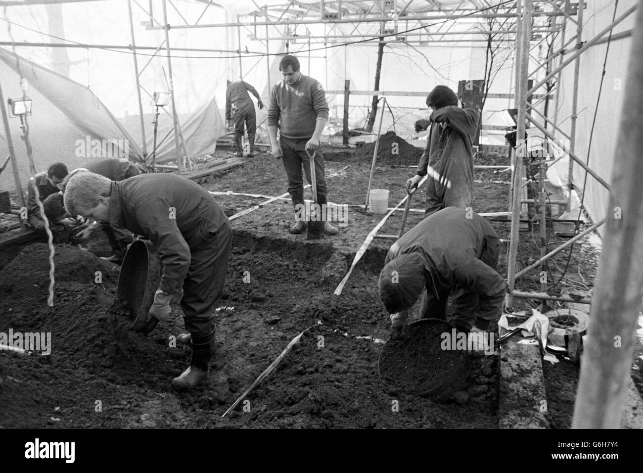 La polizia scavò nel giardino posteriore di una casa a Melrose Avenue, Willesden, a nord di Londra. Foto Stock