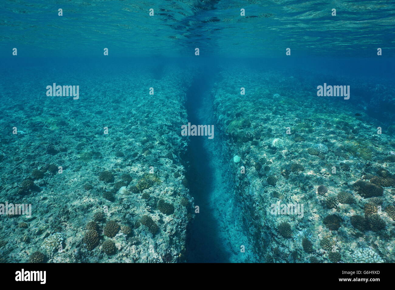 Trincea naturale nella scogliera di corallo scolpito dal rigonfiamento dell'onda, paesaggio sottomarino, Huahine isola, oceano pacifico, Polinesia Francese Foto Stock