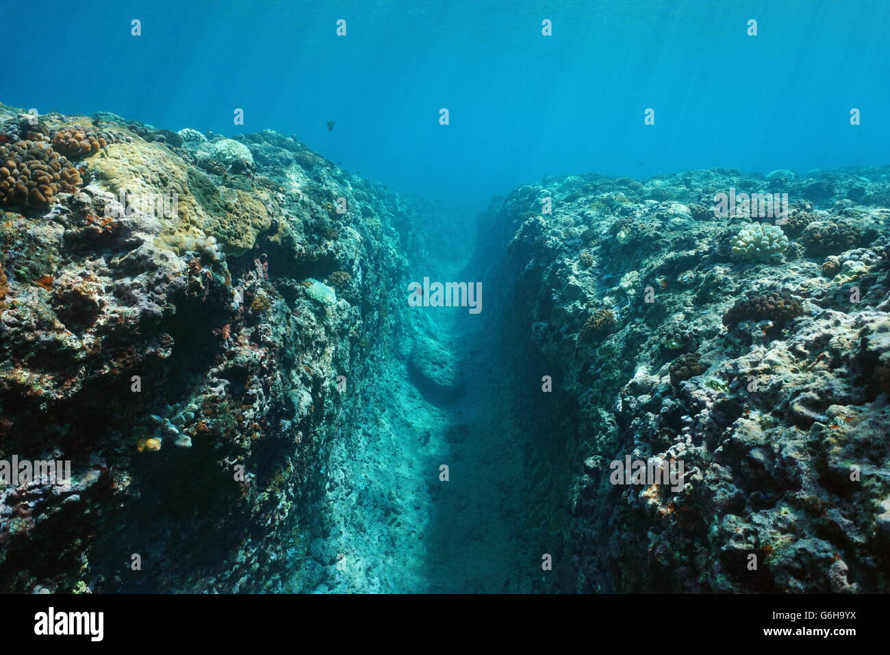 Paesaggio sottomarino, una trincea naturale nella pendenza della barriera corallina dovuta alla ondata di rigonfiamento a Huahine isola, oceano pacifico, Polinesia Francese Foto Stock