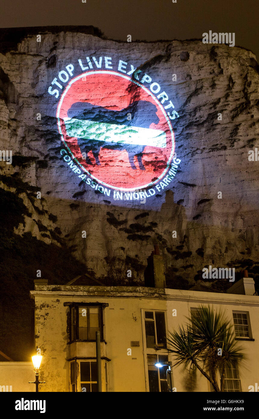 Una proiezione sulle bianche scogliere di dover nel Kent per compassione nell'agricoltura mondiale che protestava contro le esportazioni di animali vivi attraverso il porto. Foto Stock