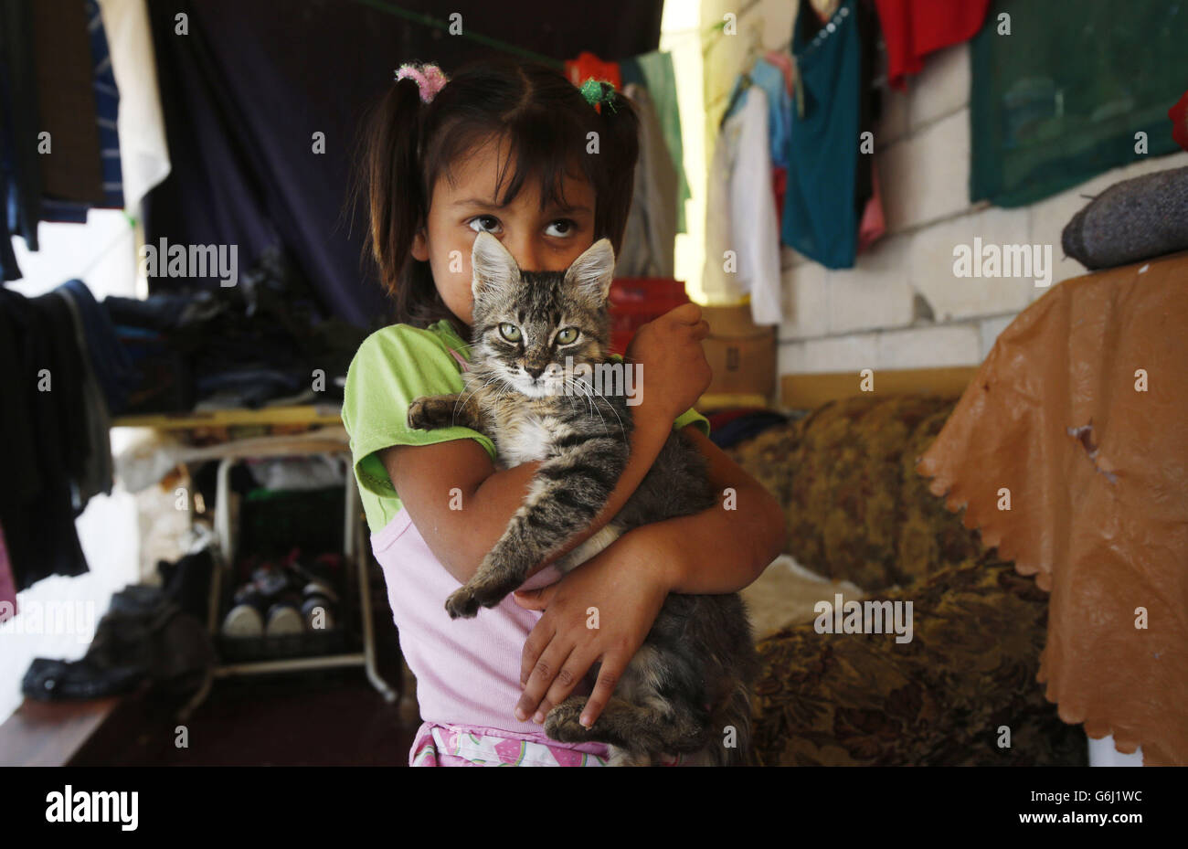 Il rifugiato siriano Maha gioca con un gatto in una casa di rifugiati improvvisati a Nakhle, in Libano, poiché la necessità di istruzione per i rifugiati è elevata, con solo il 30% dei bambini siriani che hanno accesso al servizio nel settore dell’istruzione pubblica. Foto Stock