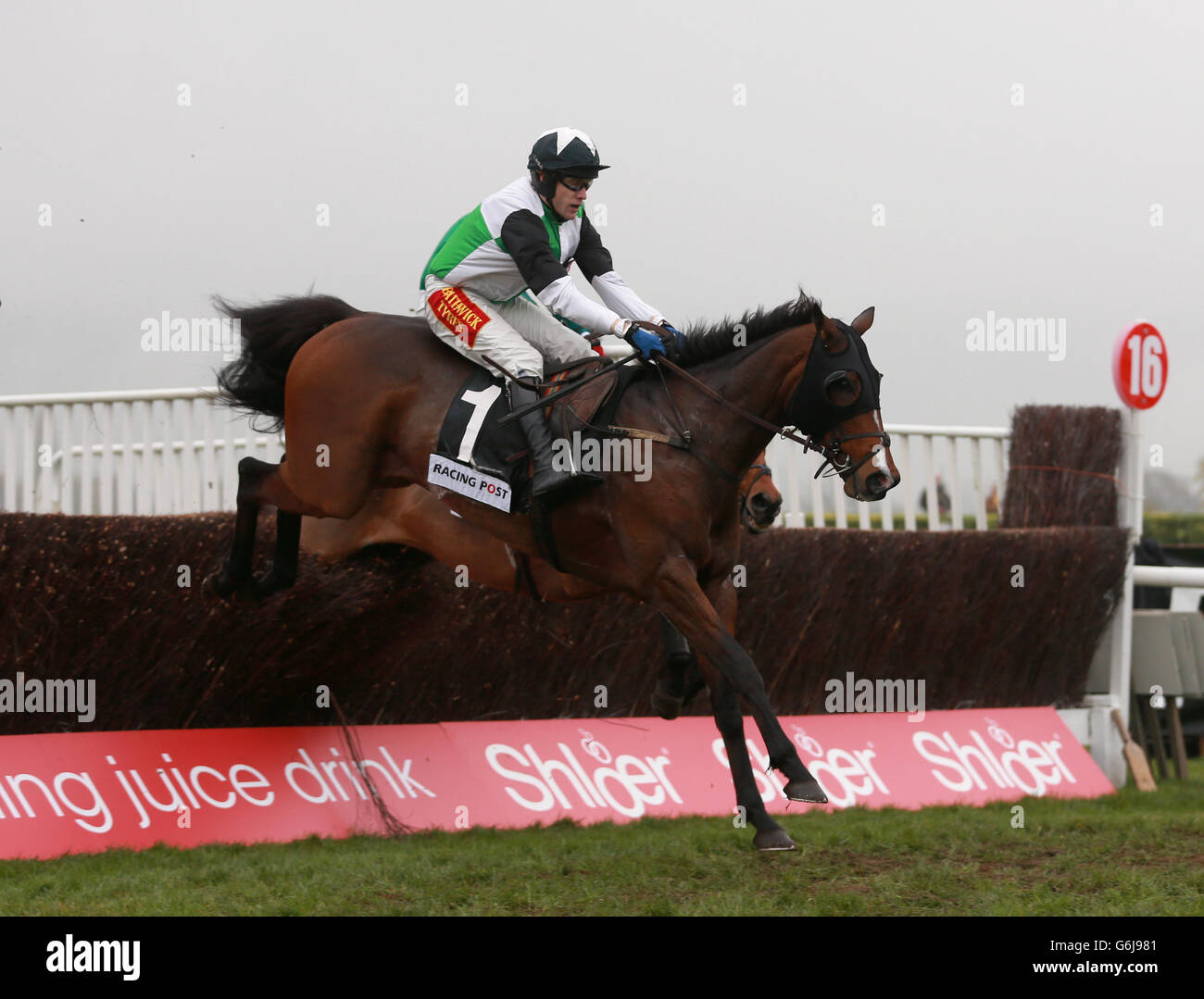 Corse ippiche - Open Festival 2013 - Open Sunday - Cheltenham Racecourse. Il mio fratello Suylvest guidato dal jockey Tom Scudamore durante il Racing Post Arkle Trophy Trial Novices' Chase Foto Stock