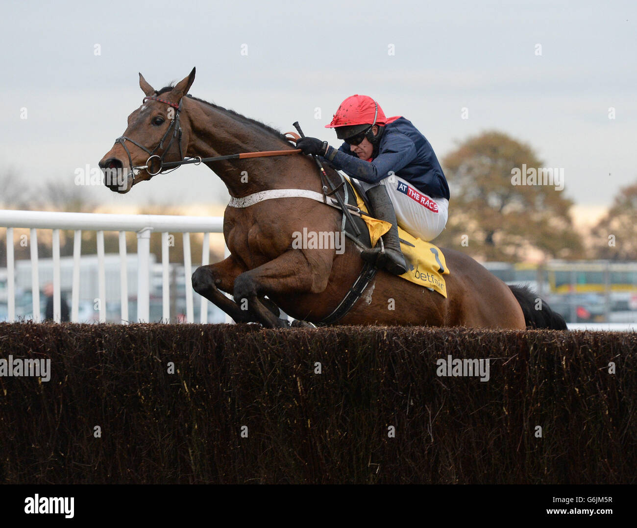 Bobs Worth e Barry Geraghty, il vincitore della Cheltenham Gold Cup, lottano per superare la recinzione finale in Betfair Chase durante il Betfair Chase Festival presso l'ippodromo di Haydock Park, Newton-le-Willows. PREMERE ASSOCIAZIONE foto. Data immagine: Sabato 23 novembre 2013. Guarda la storia di Haydock. Il credito fotografico dovrebbe essere: John Giles/PA Wire Foto Stock