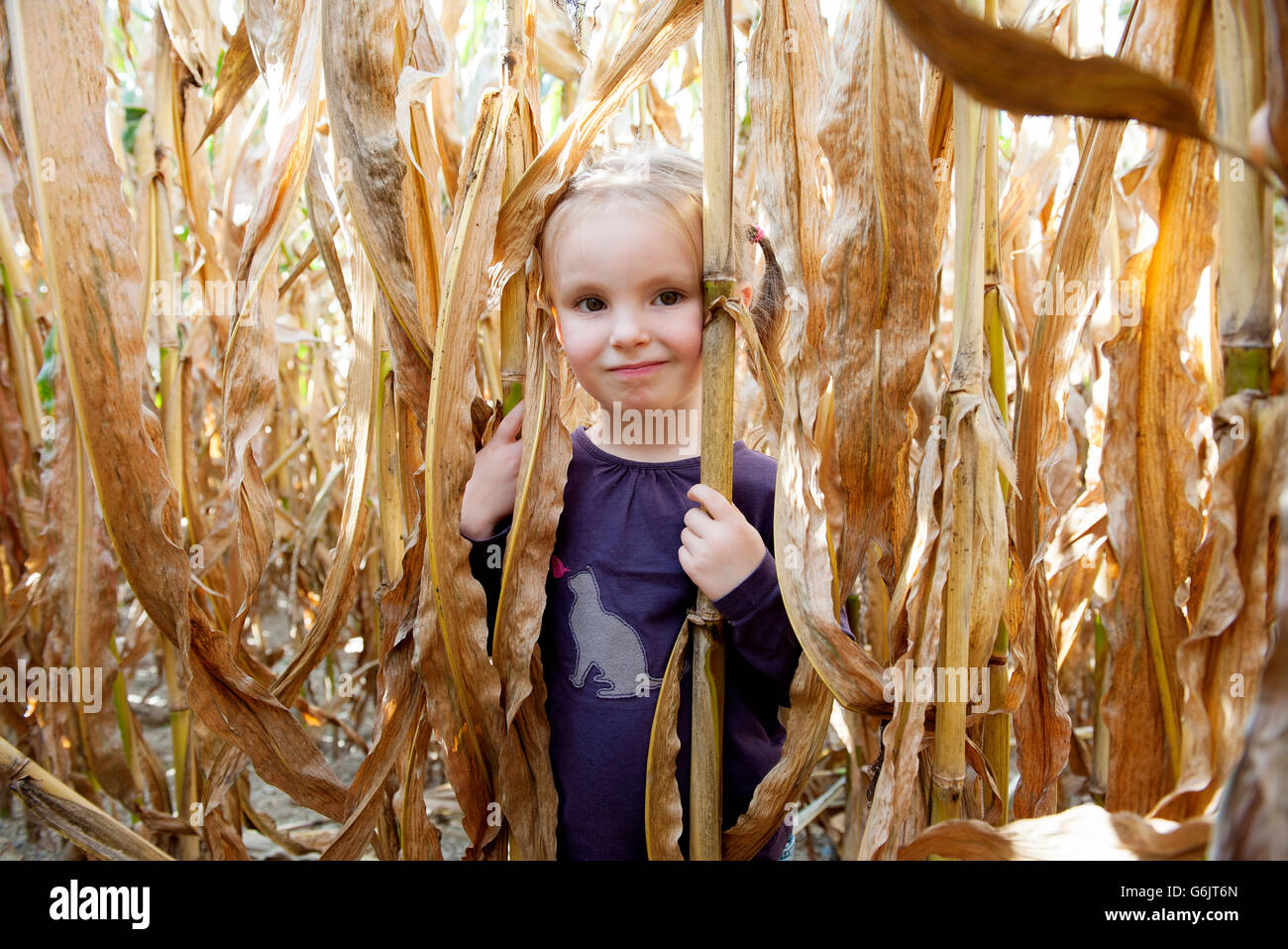 Bambina in cornfield, ritratto Foto Stock