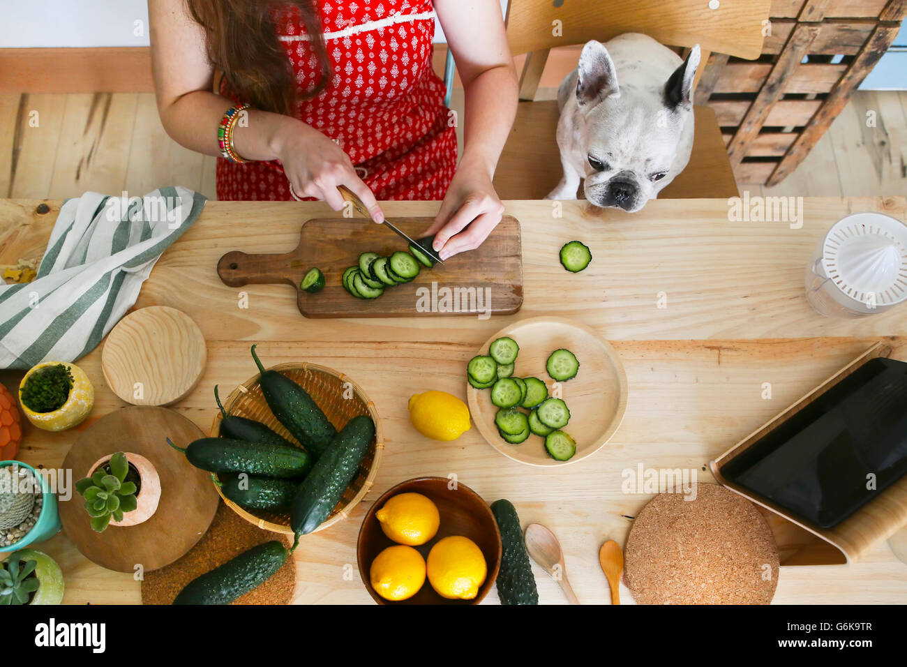 Bulldog francese guarda la donna cetriolo di taglio sul tavolo Foto Stock