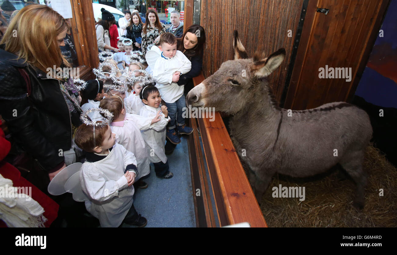 Animale vivo immagini e fotografie stock ad alta risoluzione - Alamy