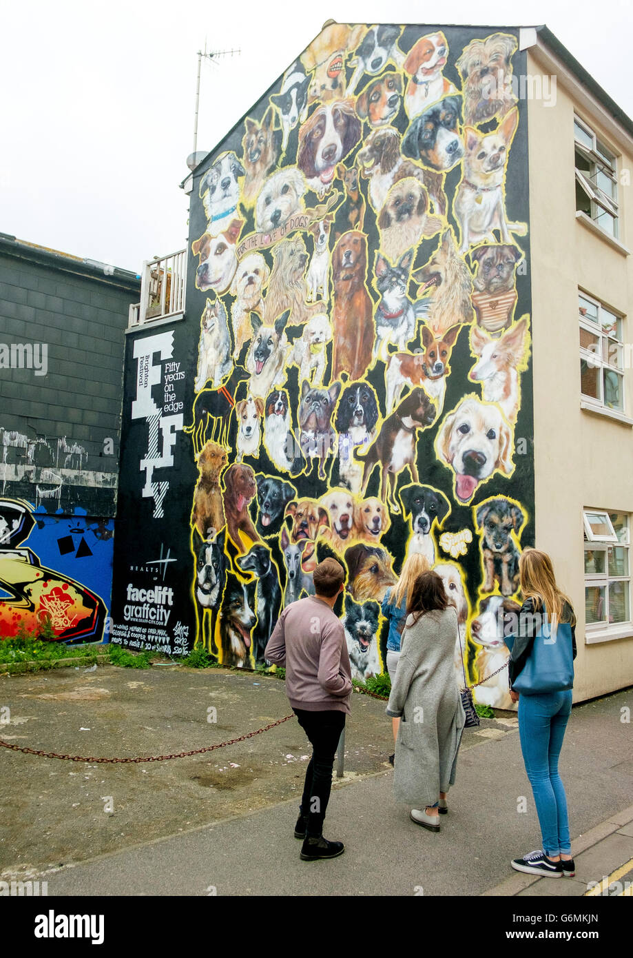 Arte di strada in Kensington Street a Brighton il North Laine - per amore di cani Foto Stock