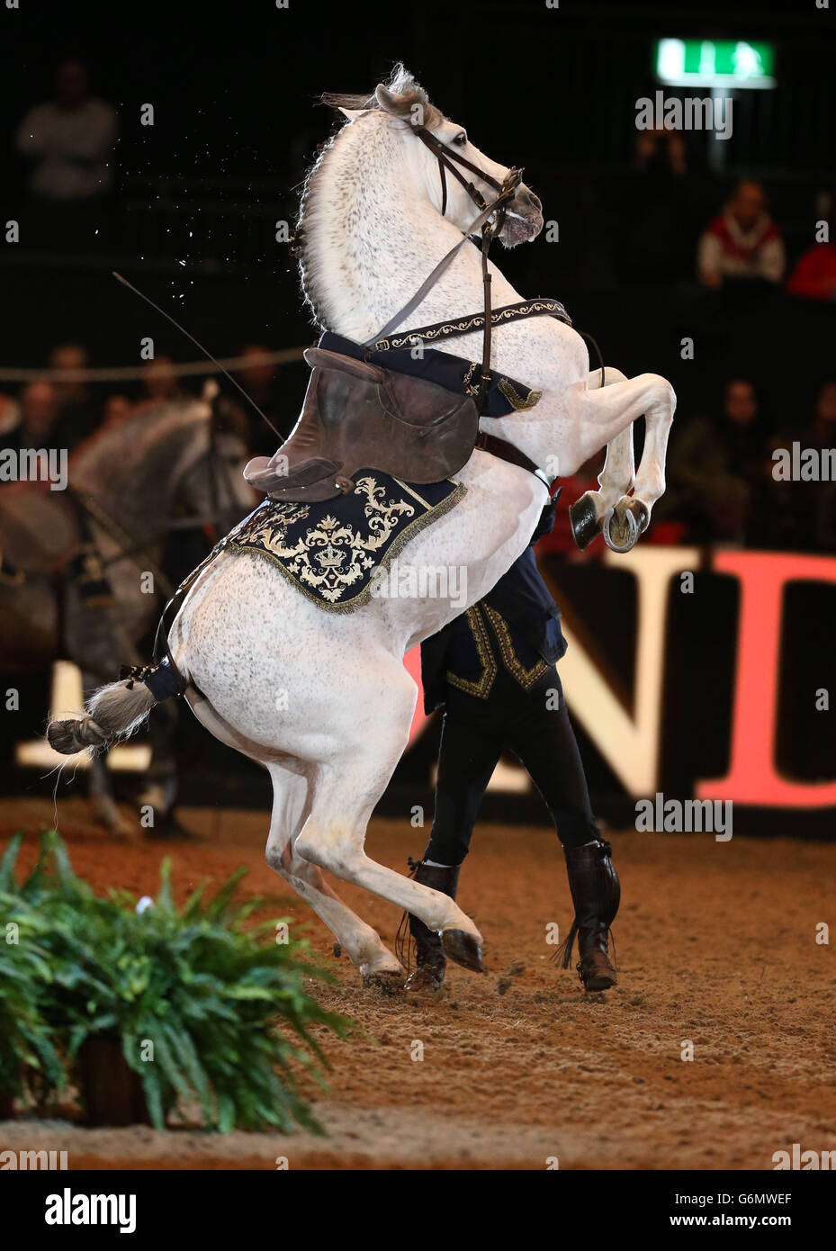 I membri della Royal Andalusian School of Equestrian Art si esibiscono durante il London International Horse Show, presso l'Olympia Exhibition Hall, West Kensington, Londra. Foto Stock