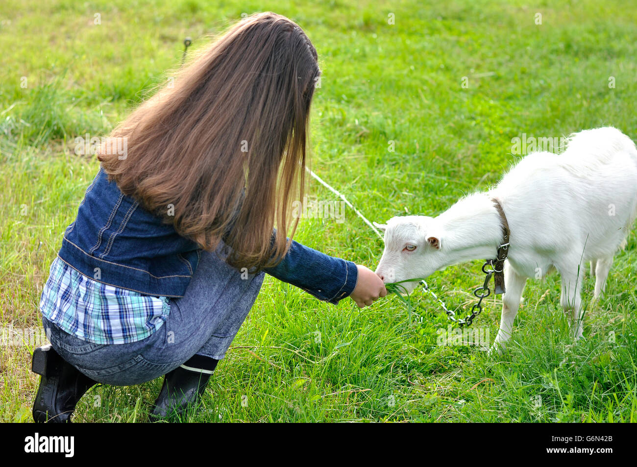 Ragazza con una capra bianca sul prato rurale Foto Stock