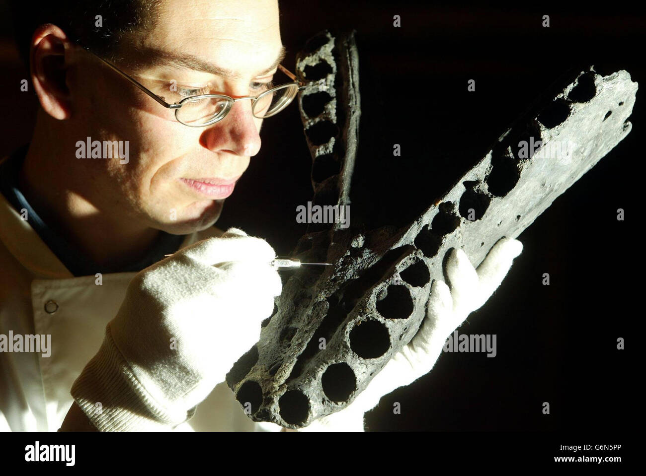 Il dottor Leslie Noe, un paleontollgist del Sedgewick Museum, inizia a pulire le mascelle di un pliosauro, presso l'Università di Cambridge. Il pliosauro, in prestito dall'Universidad Nacional de Colombia a Bogotà, Columbia, rappresenta un genere e una specie completamente nuovi di rettile marino, precedentemente sconosciuto agli scienziati. I resti dell'animale, dove fu scavato nel 1967, ma rimasero nascosti nelle volte dell'Università di Bogotà. Una studentessa intraprendente, la signorina Marcela Gomez, lo riscoprì quattro anni fa. Foto Stock