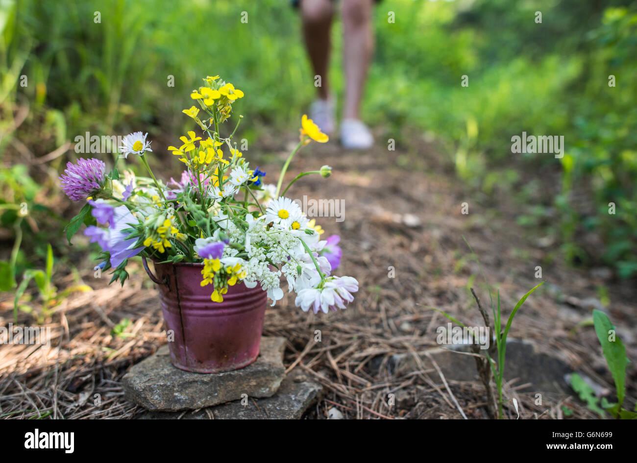 Benna di piccole dimensioni con fiori selvaggi sul terreno Foto Stock