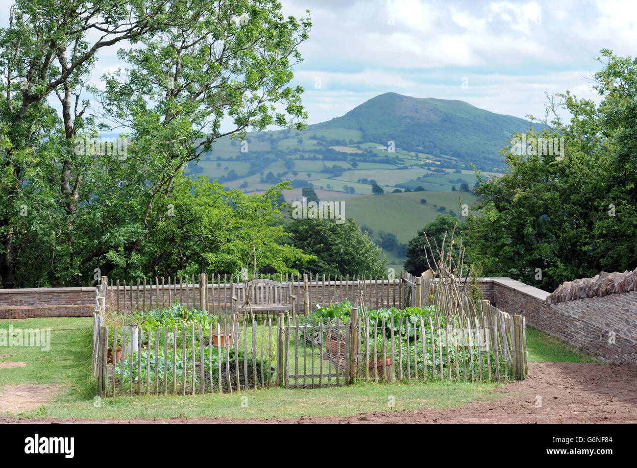 Un patch di vegetali in una montagna di Gallese home UK Foto Stock