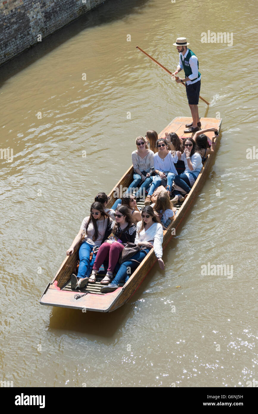 I turisti in un punt con autista su una barca rip punting sul fiume Cam Cambridge Regno Unito in estate Foto Stock