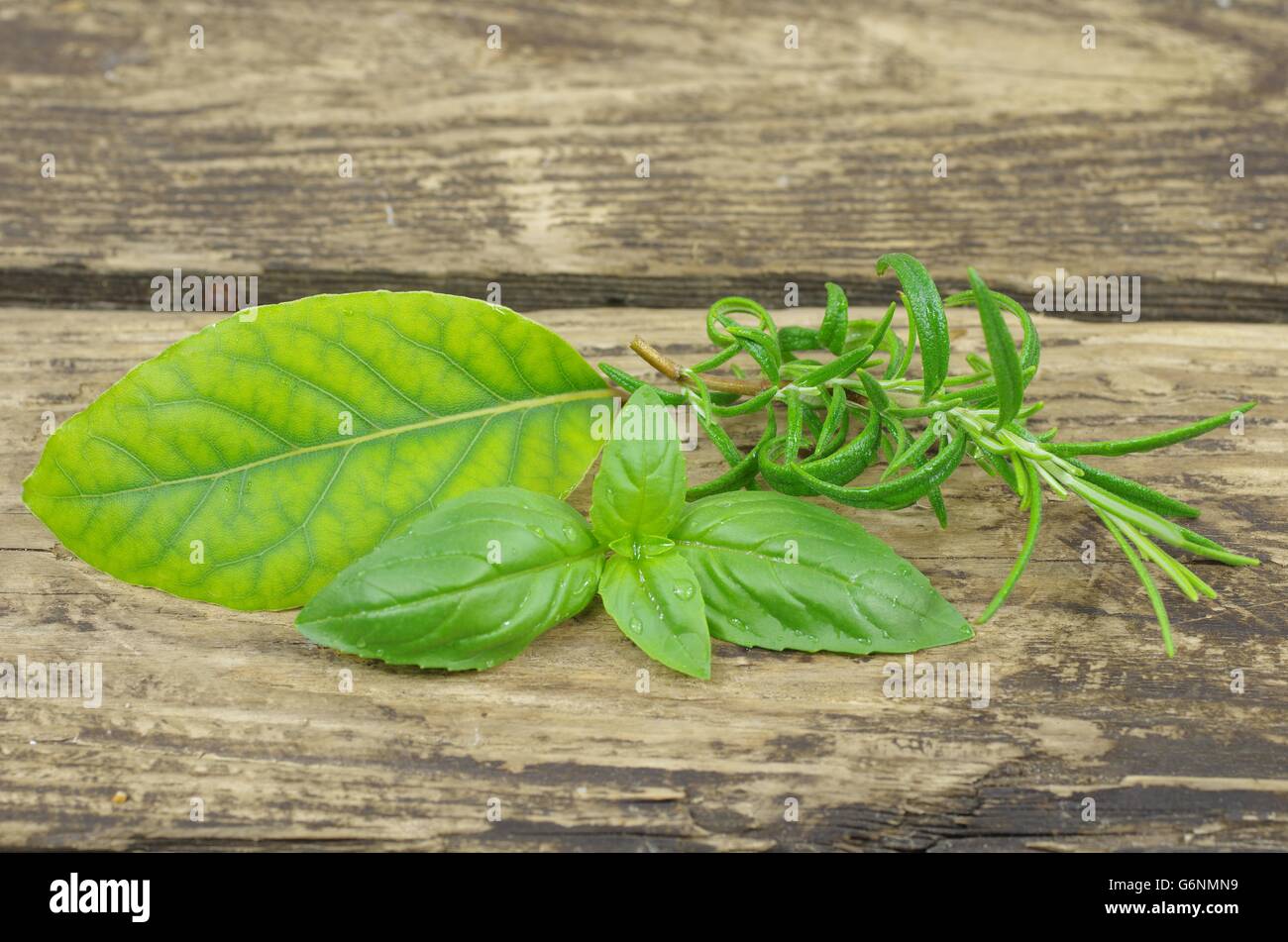 Herb basi rosmarino e alloro su sfondo di legno Foto Stock