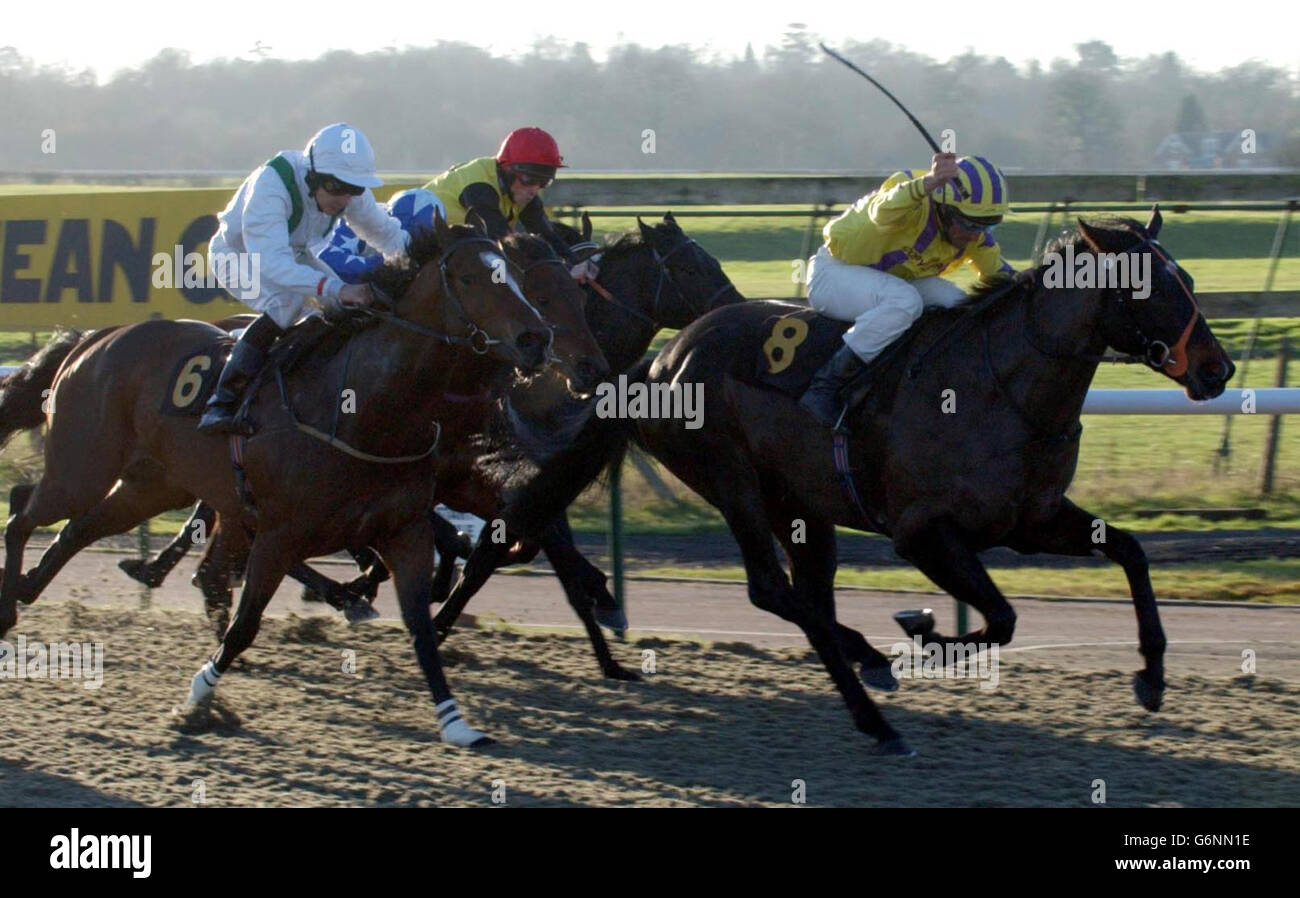 Intrigante scorcio, guidato da N Callan, vince il betdirect su 0800 32 93 93 Nursery handicap al Lingfield Park. Foto Stock