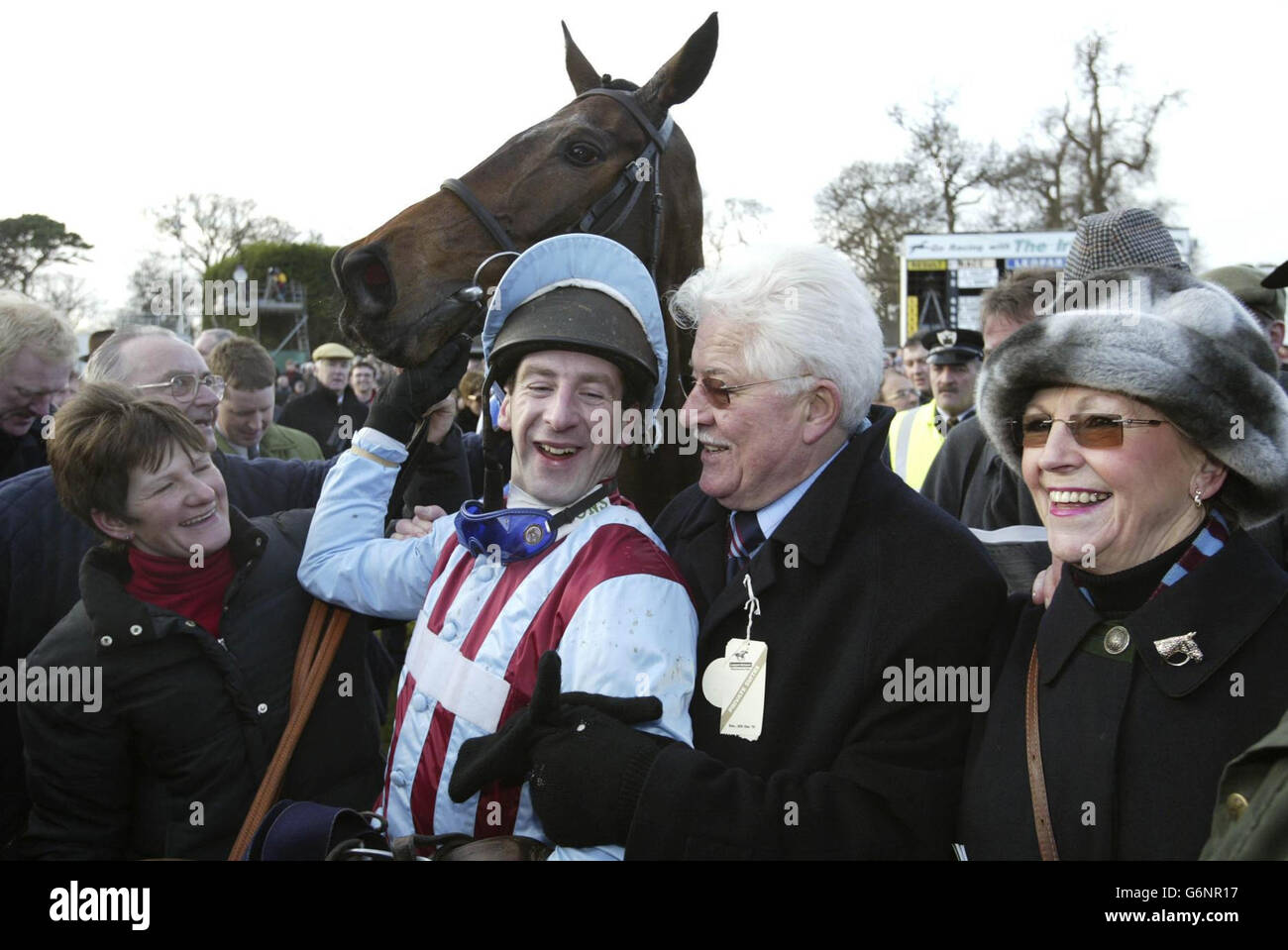 Miglior Mate vince a Leopardstown Foto Stock
