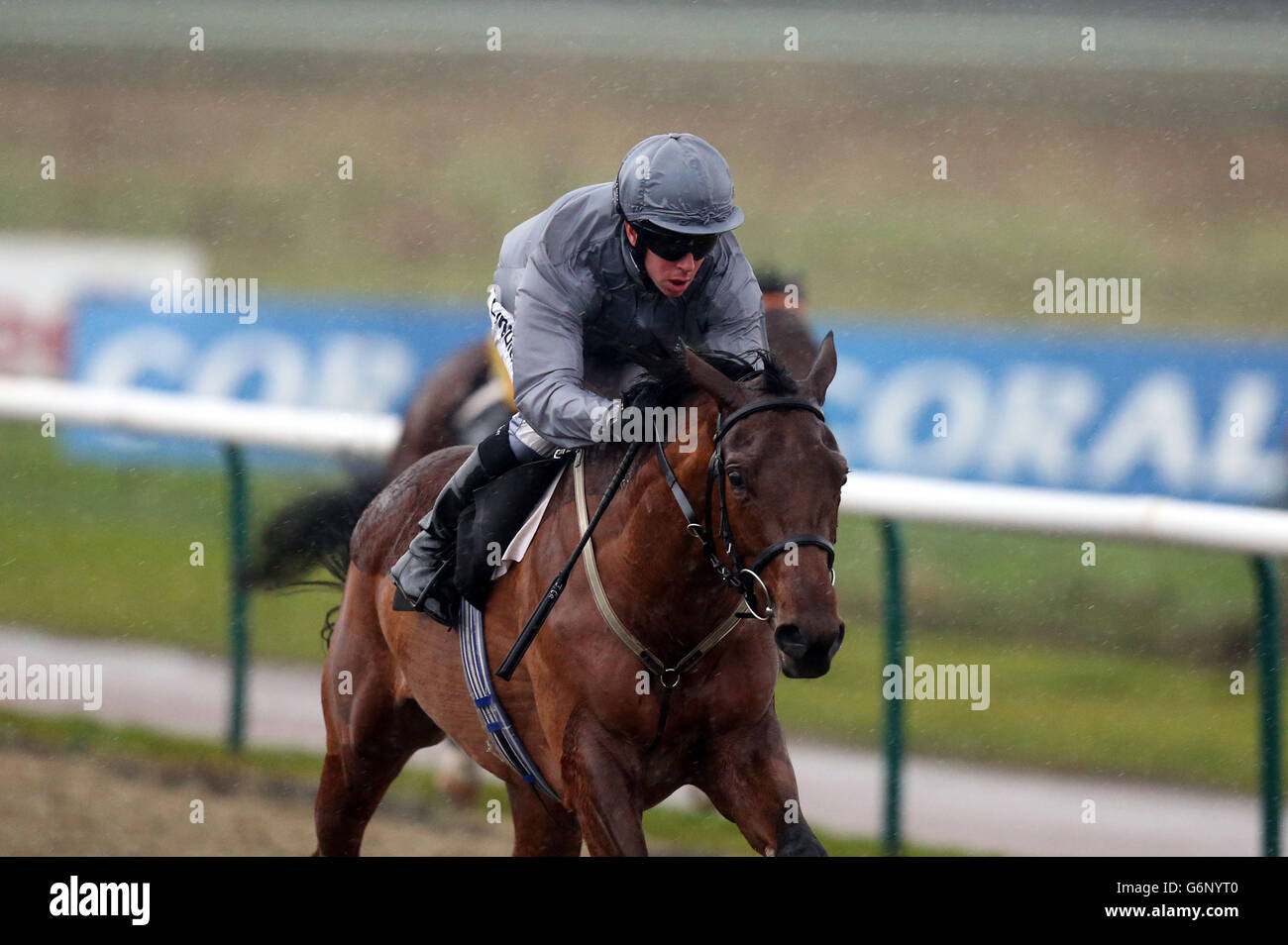Horse Racing - Lingfield Park Foto Stock