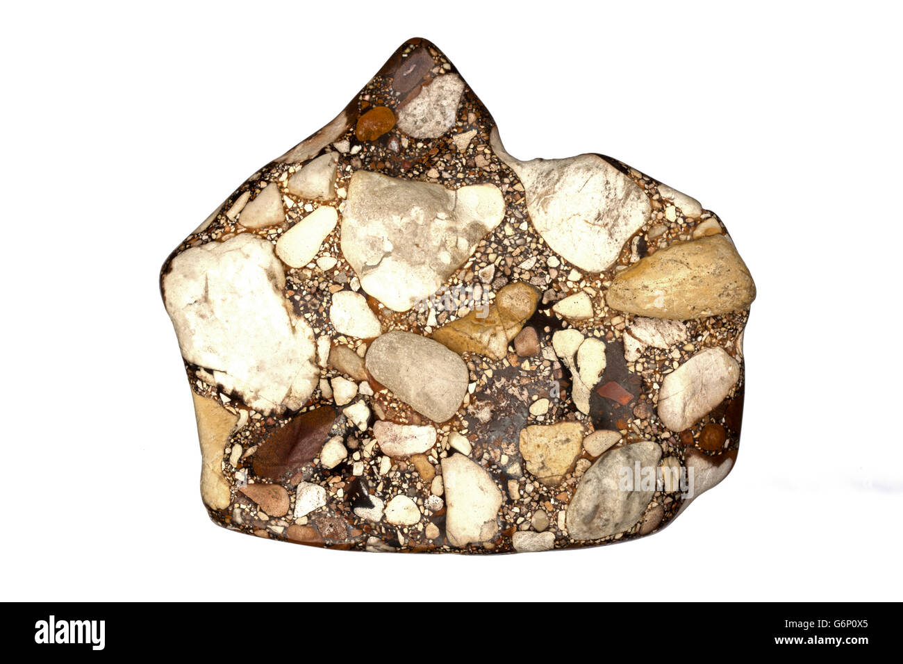 O conglomerato puddingstone, Tennesse, una roccia sedimentaria, campione lucidato Foto Stock