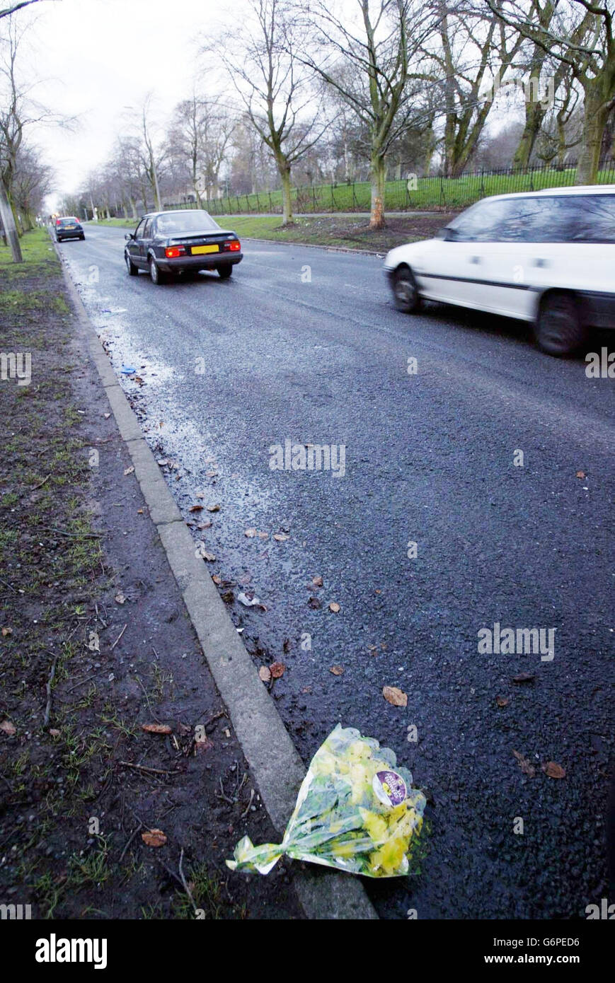Fiori sulla scena a Springwood Avenue, Liverpool, dove quattro donne sono morte, e due sono stati gravemente feriti in un incidente stradale. Gli ufficiali ritengono che un veicolo che trasporta le sei donne ha lasciato la strada e si è schiantato in un albero nelle prime ore del mattino. Foto Stock