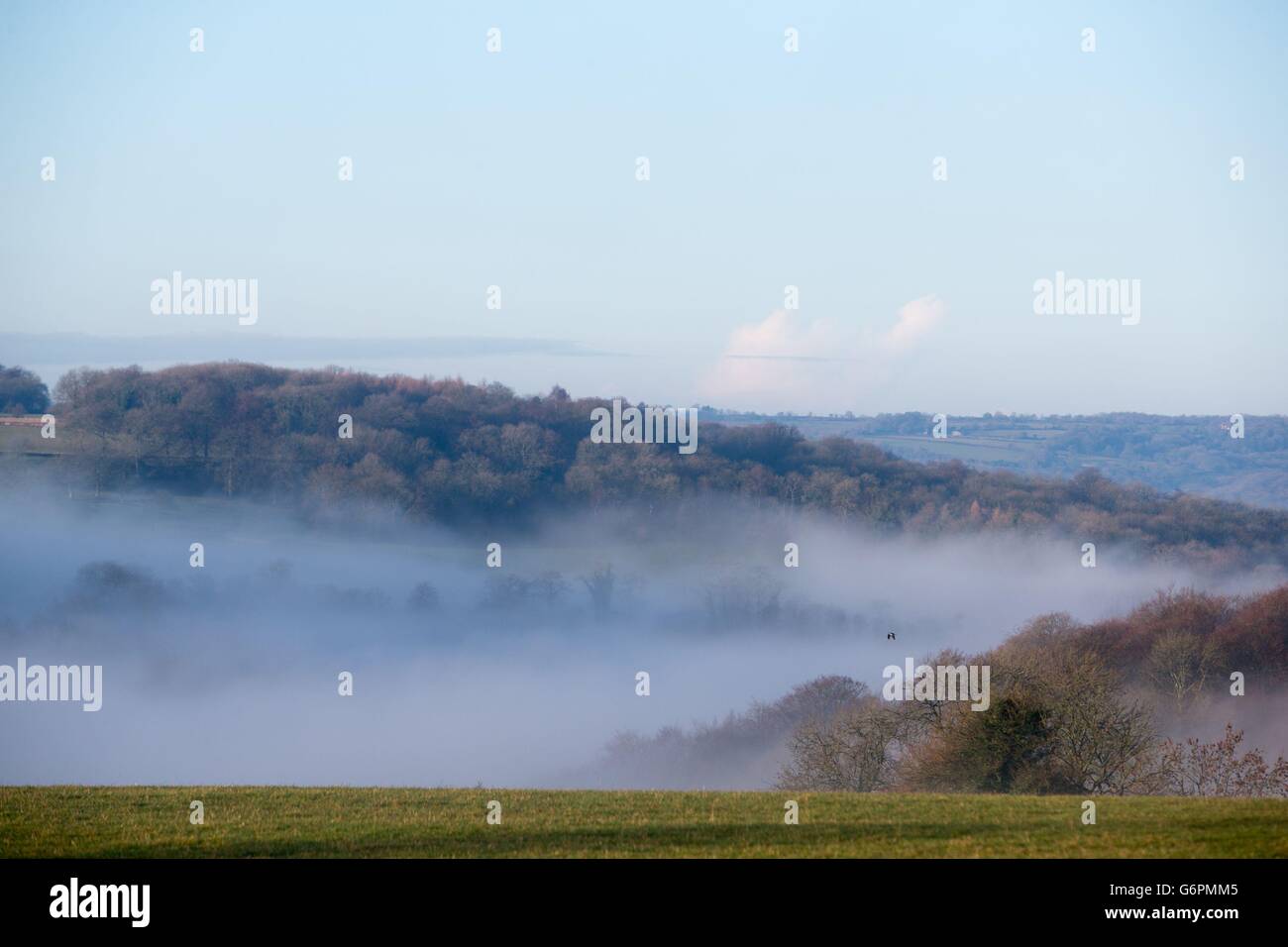 Una nebbia invernale sulle colline vicino a Gatcombe Park in Gloucestershire. Foto Stock