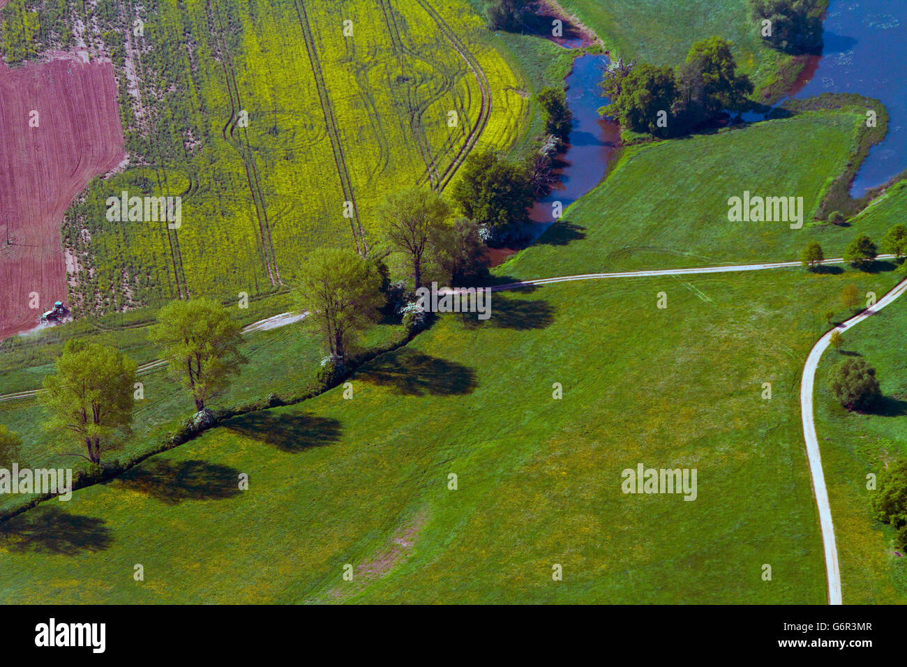 Prati e vicolo del paese al fiume Elba, Sassonia-Anhalt, Germania Foto Stock