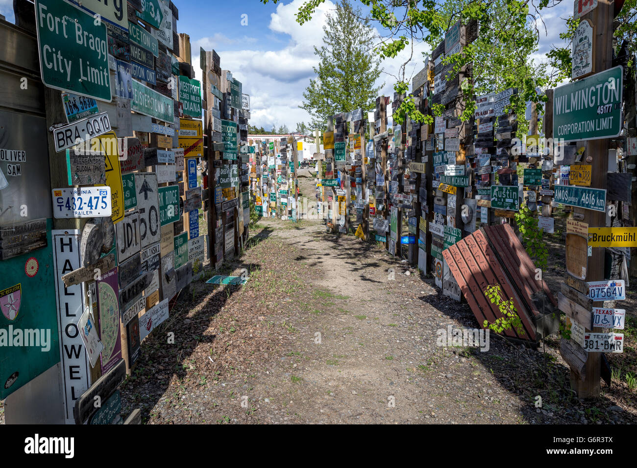 Segno posto foresta nel lago Watson, Yukon Foto Stock