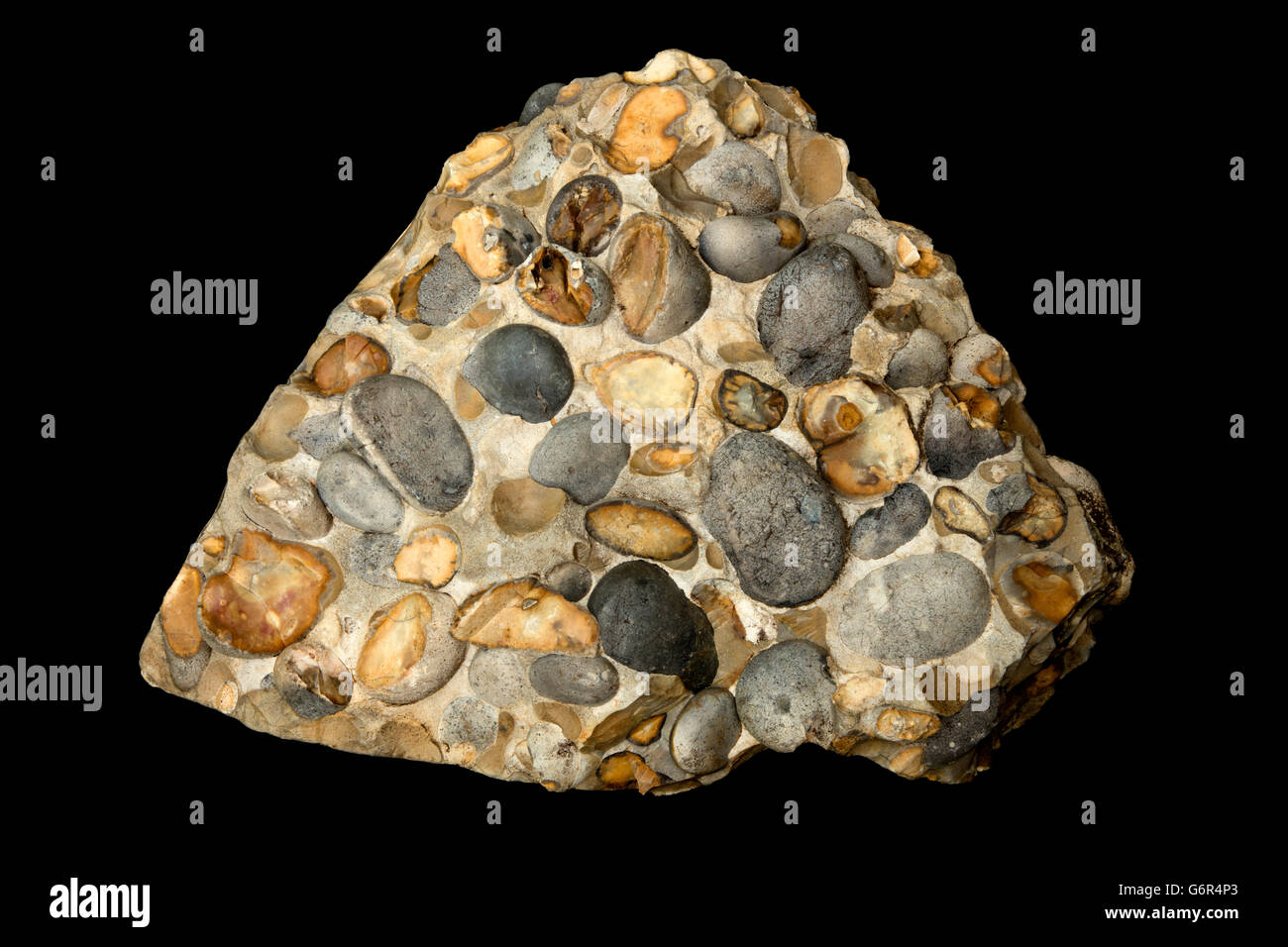 Hertfordshire puddingstone ,conglomerato roccia sedimentaria, arrotondato flint ciottoli cementati insieme da una matrice più giovani di silice Foto Stock