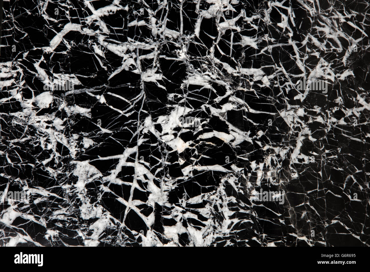 Calcare con vene di calcite, Cina, piastrelle per pavimento "Black Pearl' Foto Stock