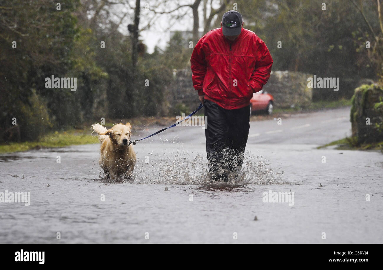 Nigel Griffiths, residente nel Somerset, 63 anni, da Throney, cammina il suo cane Cassie mentre la pioggia inizia a scendere pesantemente sui già allagati livelli del Somerset, dove una previsione di 30 mm di pioggia aumenterà i problemi nella già alluvione zona colpita del paese occidentale. Foto Stock