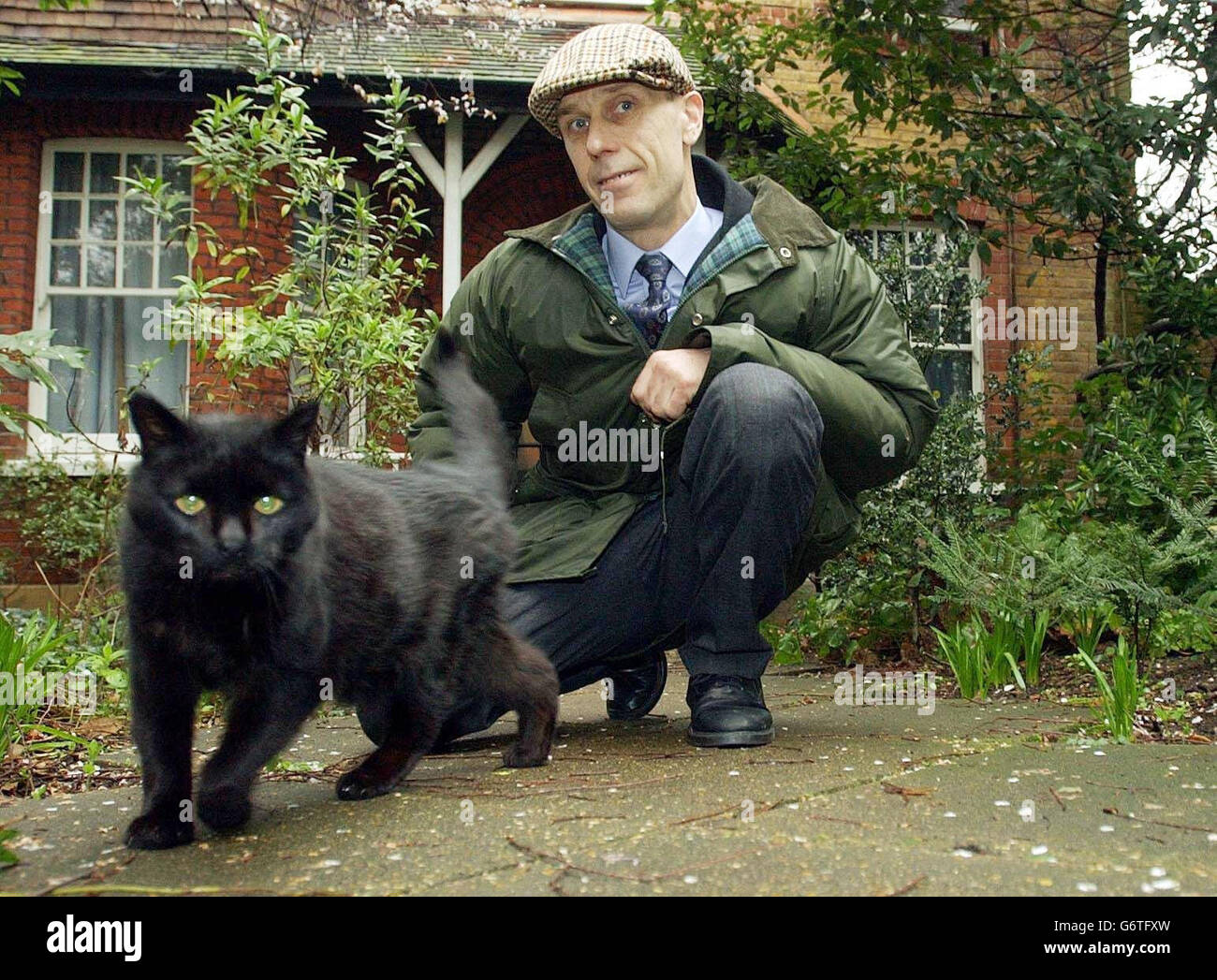 Ian Simpson gatti lega di protezione Foto Stock
