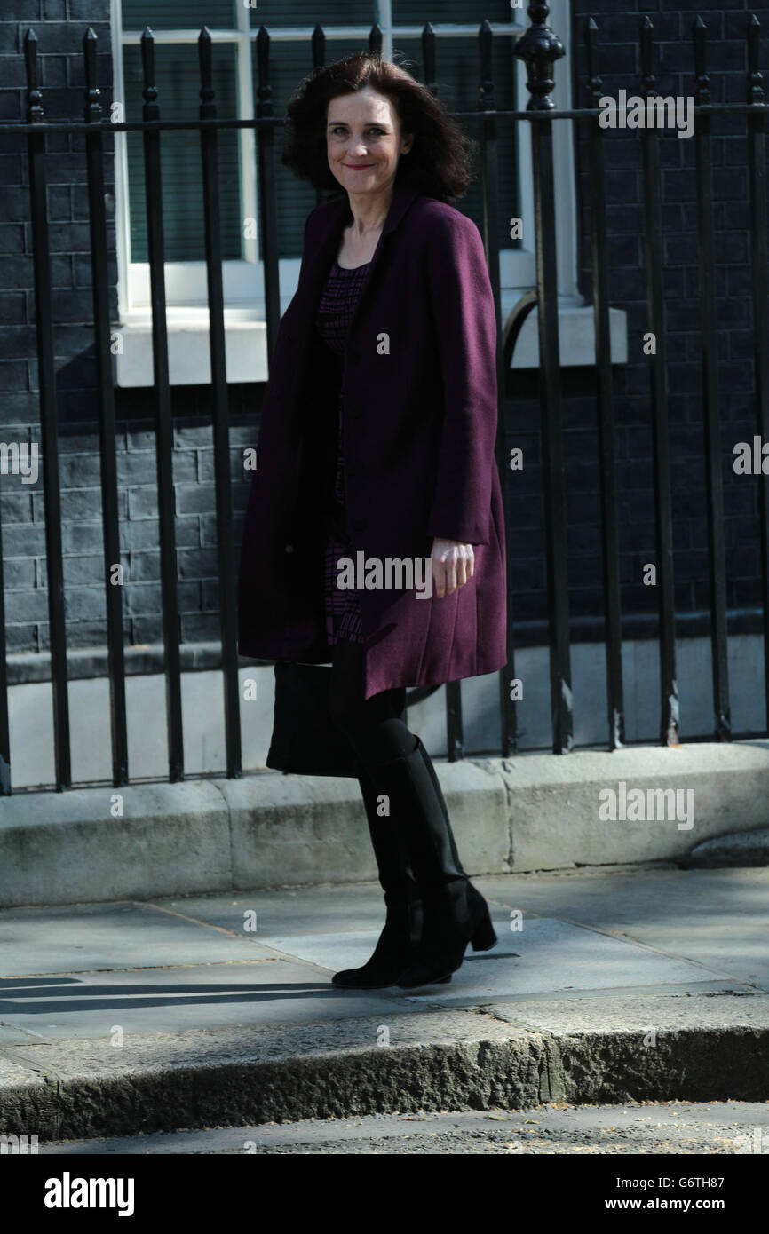 Londra - 3 Maggio 2016: Theresa Villiers visto in Downing Street a Londra Foto Stock