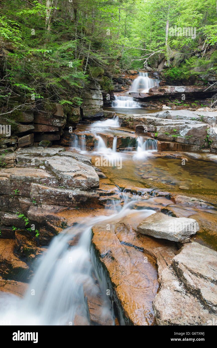 Bemis Brook scende lungo il torrente Bemis in Harts Ubicazione, New Hampshire USA durante i mesi primaverili. Foto Stock