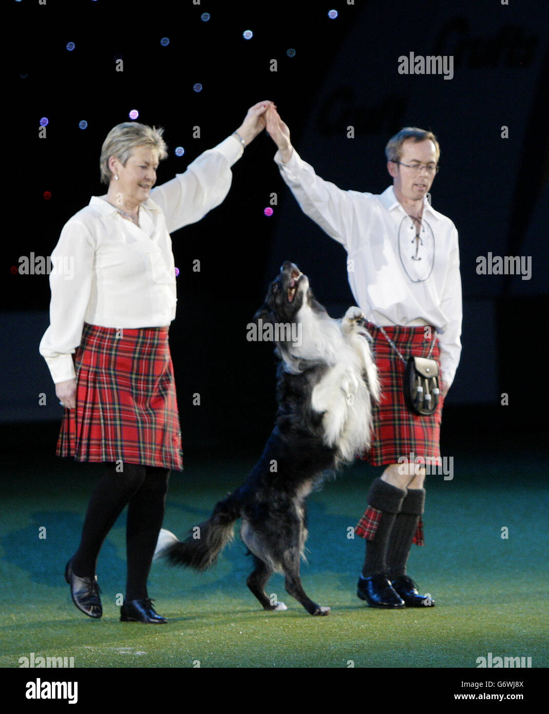 Una dimostrazione di Heelwork to Music prima del concorso Best-in-show al Crufts al NEC di Birmingham. Foto Stock