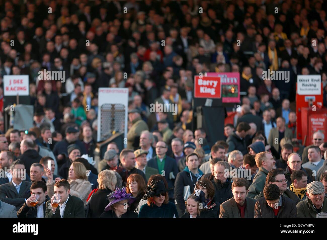 Corse di cavalli - Festival di Cheltenham 2014 - Giornata delle Signore - Ippodromo di Cheltenham. La folla si è impalata negli stand durante il Ladies Day, durante il Cheltenham Festival. Foto Stock