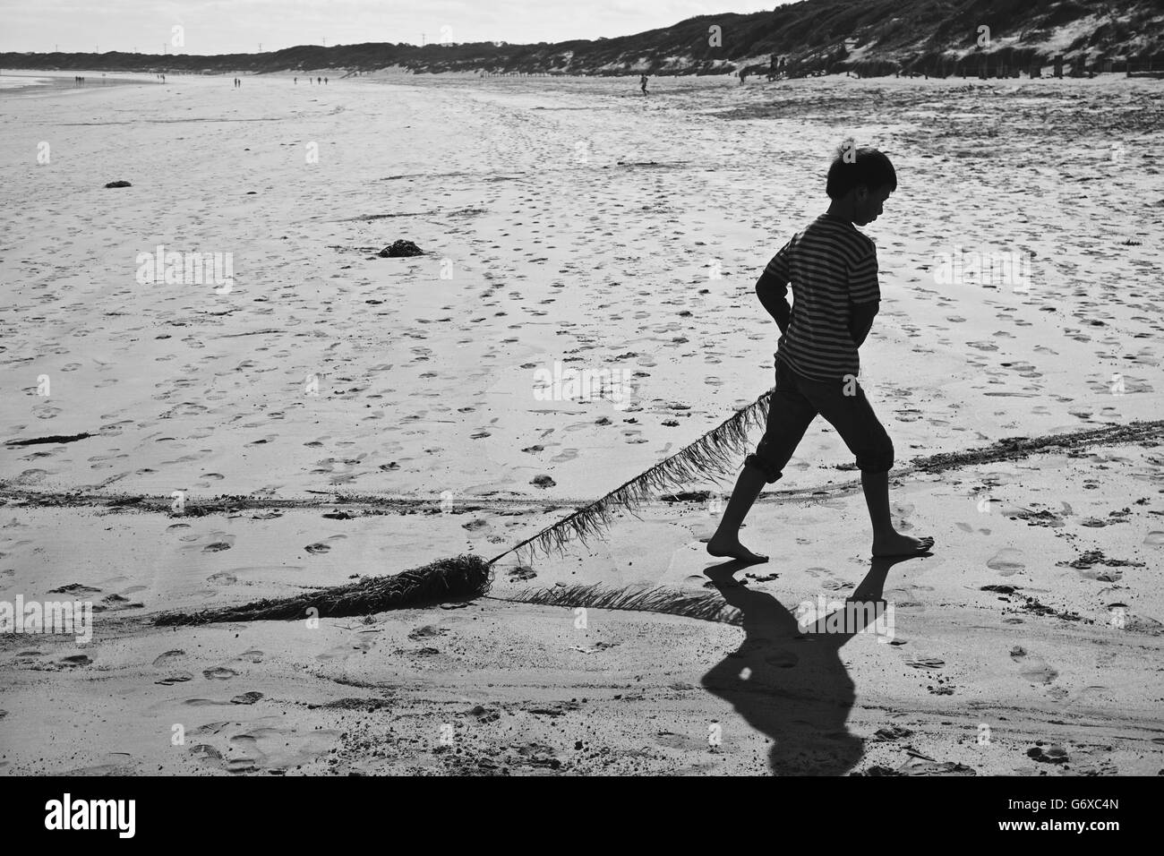 Ragazzo tirando le alghe sulla spiaggia Foto Stock