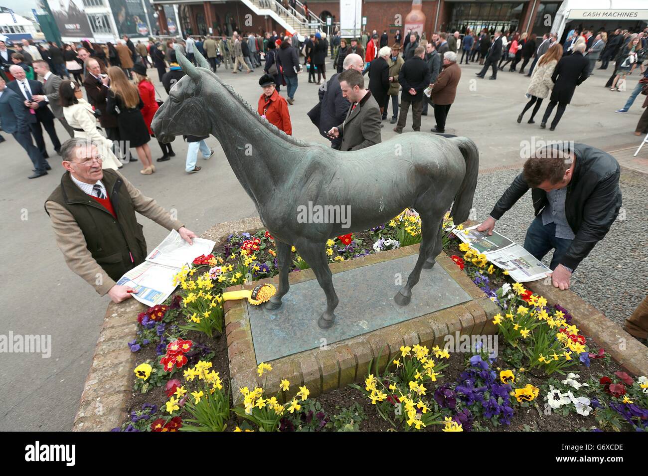 Horse Racing - 2014 Cheltenham Festival - Ladies Day - Cheltenham Racecourse Foto Stock