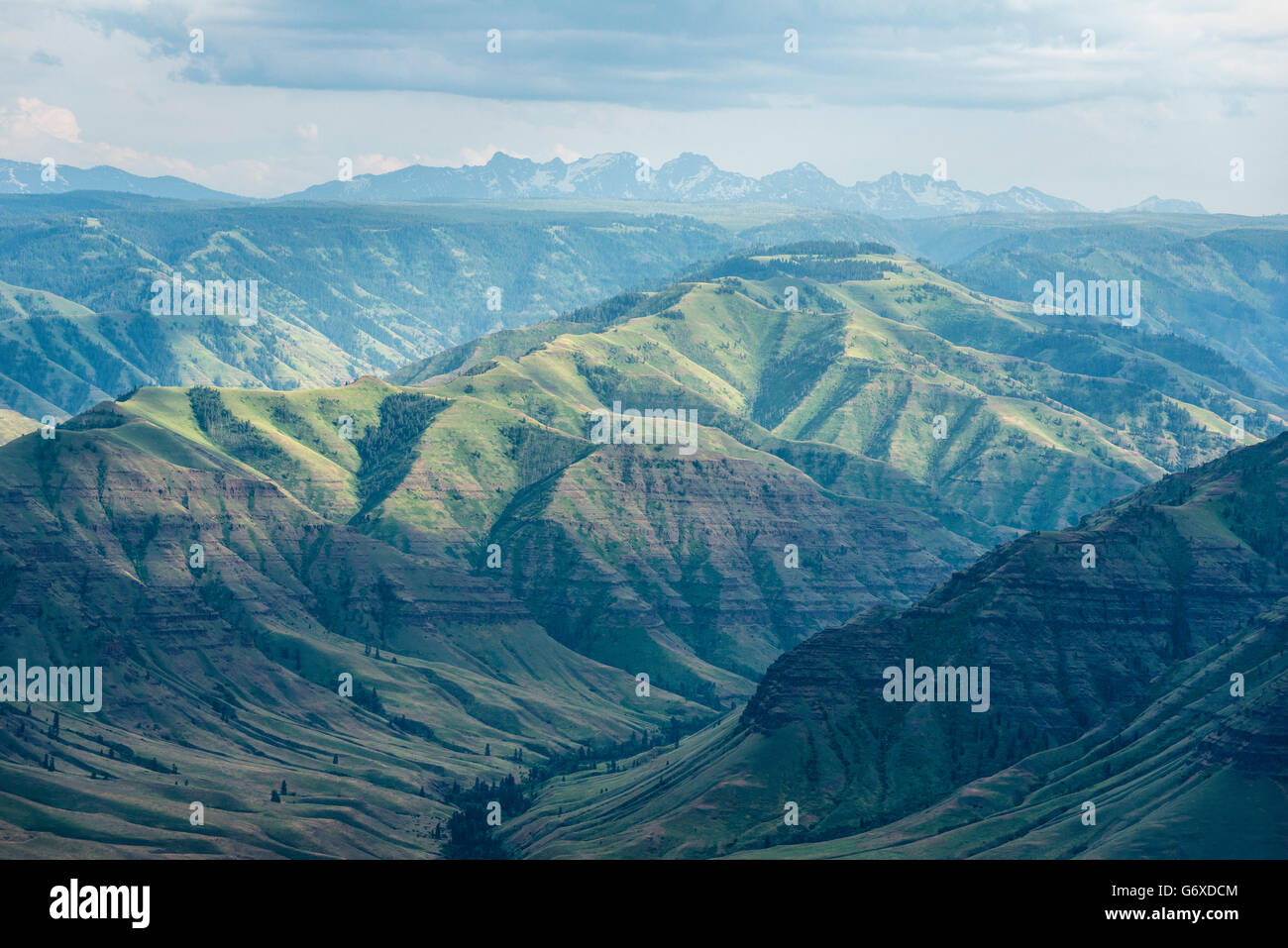 Canyon Imnaha, parte di Hells Canyon, dal Buckhorn si affacciano, Oregon. Idaho sette demoni le montagne sono la distanza. Foto Stock