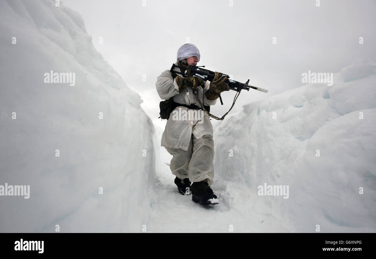 12/03/14 reservisti marini in pattuglia sulle colline di Harstad, Norvegia settentrionale, nel Circolo polare Artico, come parte del loro allenamento di sopravvivenza a basse temperature, dura due settimane. Foto Stock