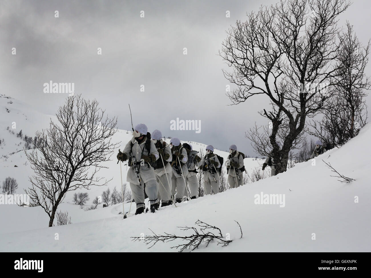 12/03/14 reservisti marini in pattuglia sulle colline di Harstad, Norvegia settentrionale, nel Circolo polare Artico, come parte del loro allenamento di sopravvivenza a basse temperature, dura due settimane. Foto Stock