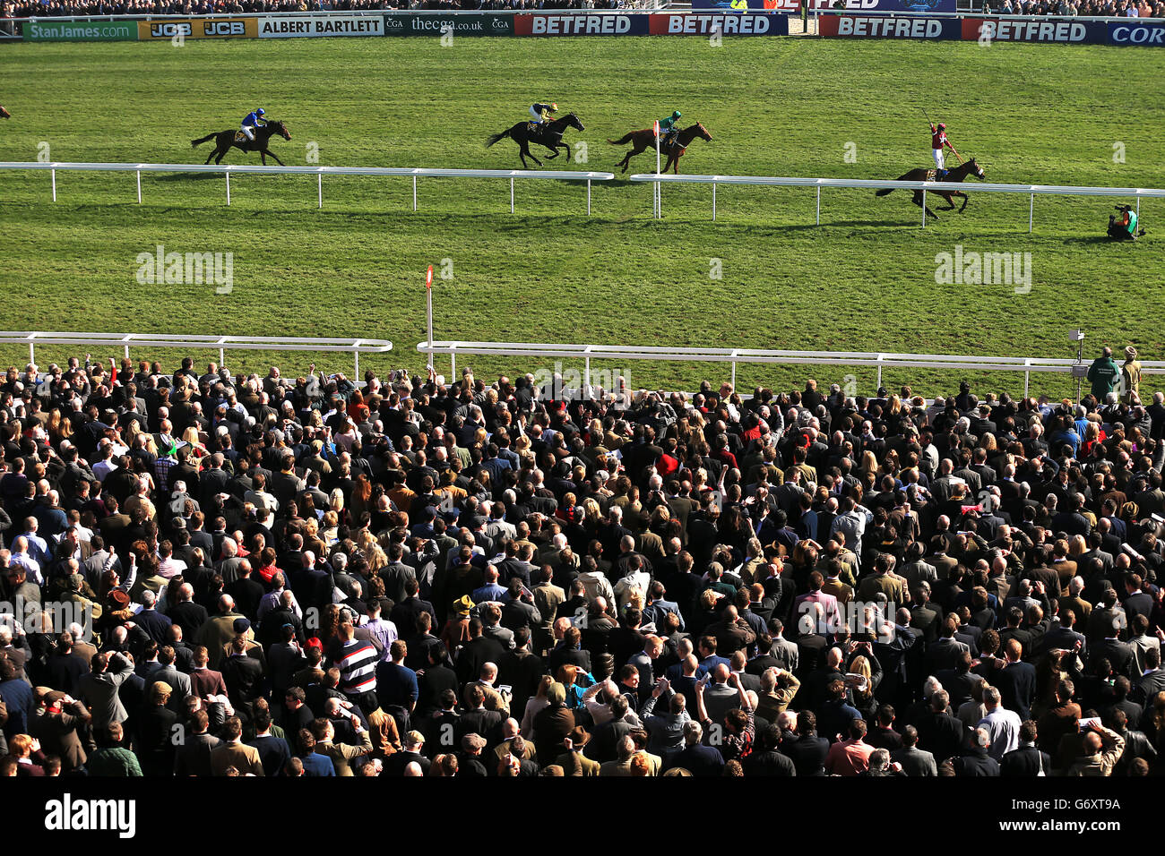 Horse Racing - 2014 Cheltenham Festival - Cheltenham Gold Cup giorno - Cheltenham Racecourse Foto Stock