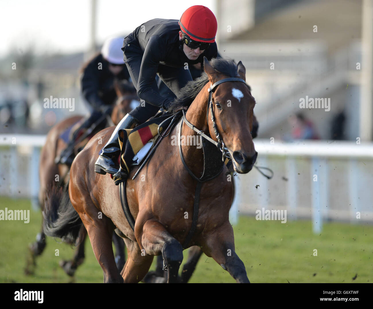 Horse Racing - Irish Lincolnshire/Lodge Park Stud Park Express Stakes giorno - Curragh Racecourse Foto Stock