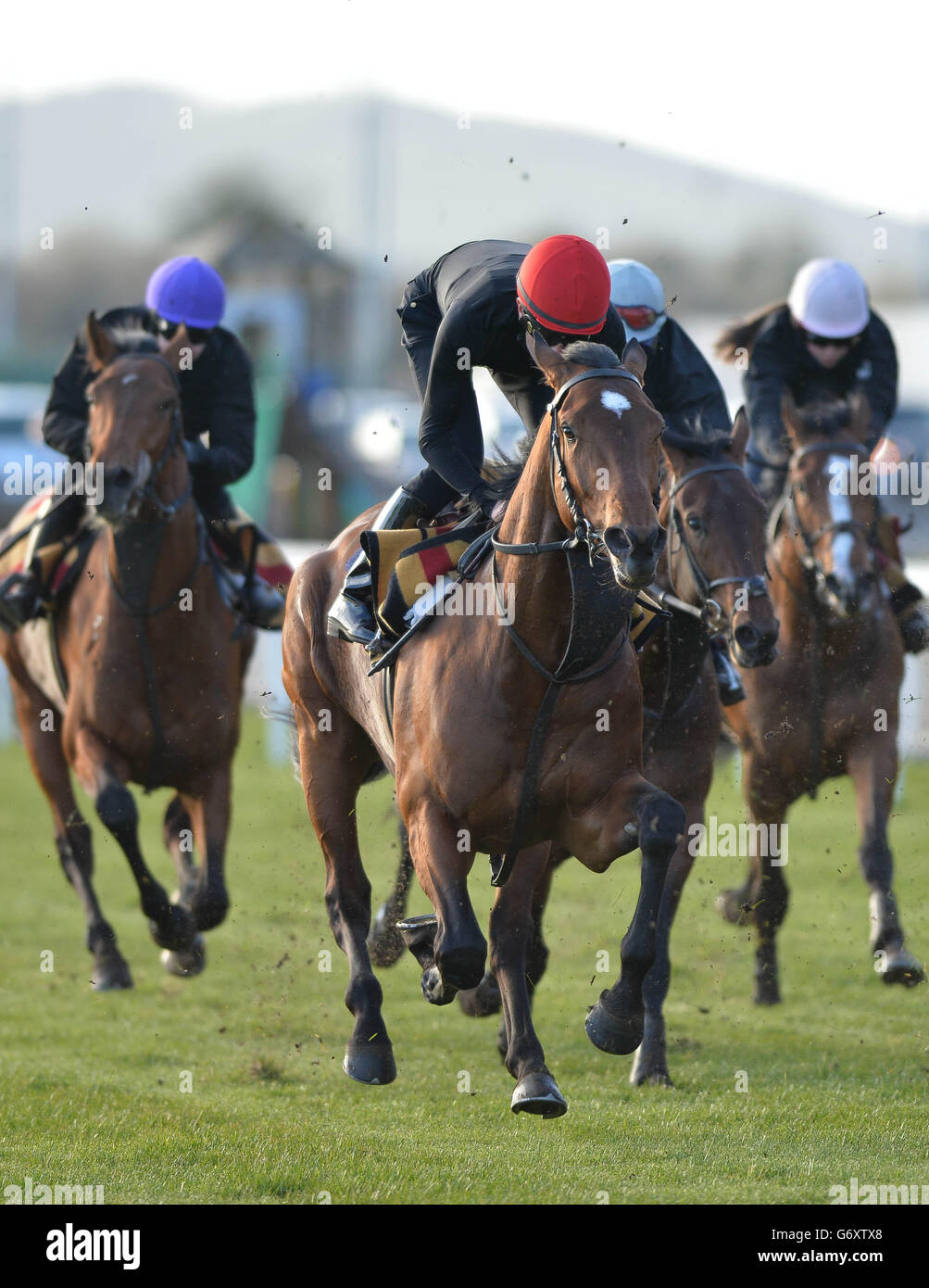 Horse Racing - Irish Lincolnshire/Lodge Park Stud Park Express Stakes giorno - Curragh Racecourse Foto Stock