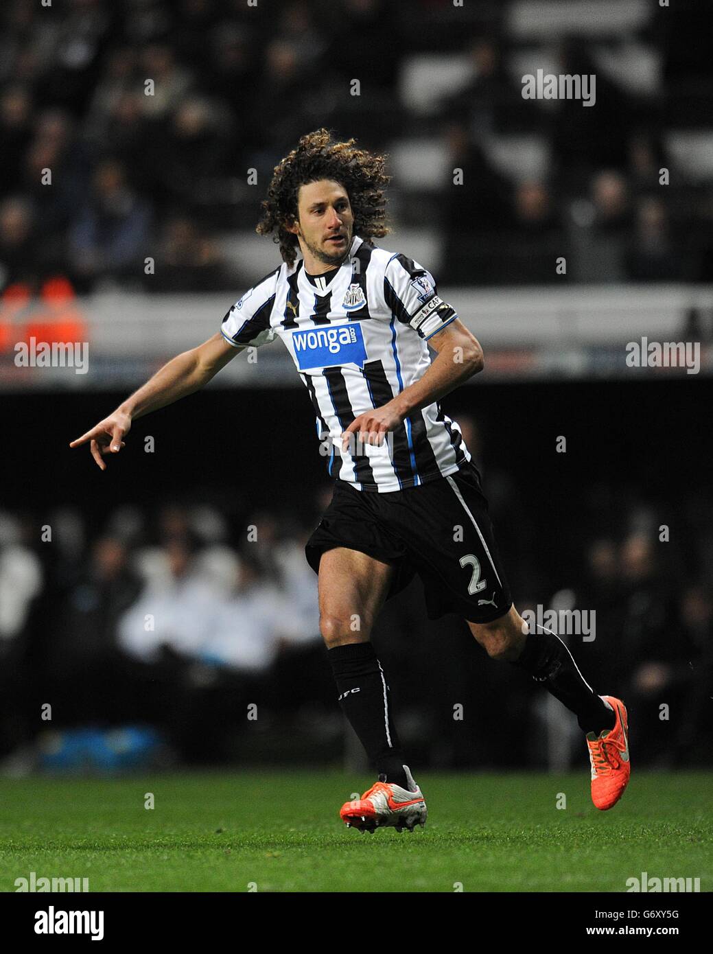 Calcio - Barclays Premier League - Newcastle United v Everton - St James' Park. Fabricio Coloccini, Newcastle United Foto Stock